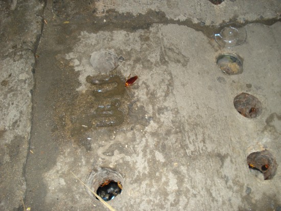 DSC02684