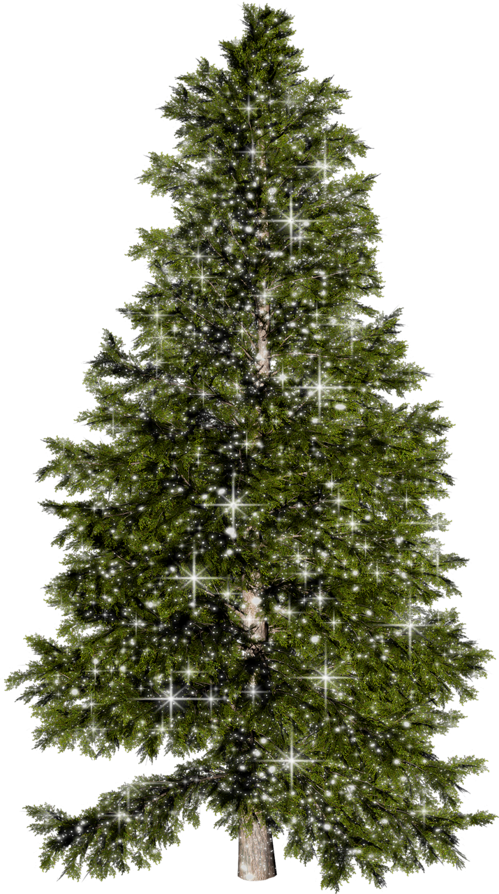 Елка Png На Прозрачном Фоне