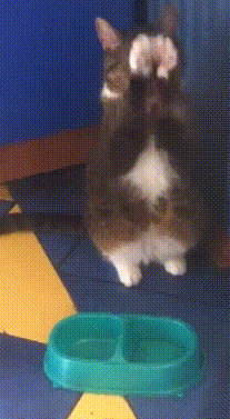 6cf269a8edbc918a10f93f12a19c815d