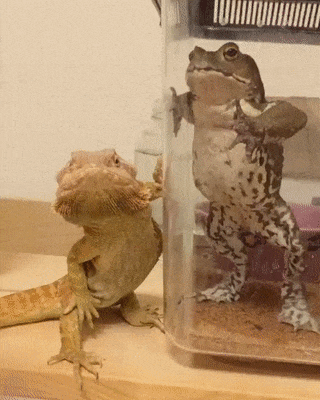 b46f8fb5302c6d37cc29647ecdd5927d