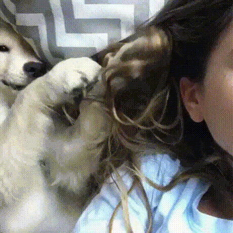 1c2b110f1682b6630832fa055dd8b972_273238_1573709799