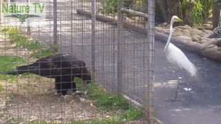 9f572cd0a765afa3e2d5c793db829963