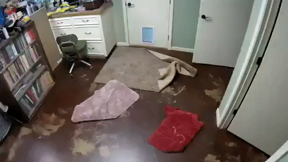 92de80213dd57cc23729bbaef7dce9ce_273238_1573450829