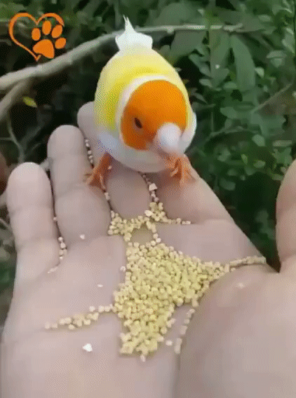 b2bff7cb3ec3d282df95616399155565_273238_1573623459