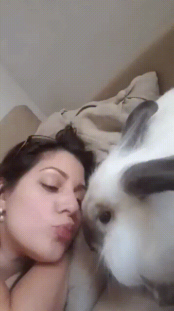 f2dbd6bab110160c86ee71144323c522_273238_1573191997