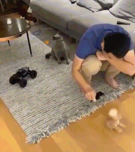 517b23fd7cdae35a1dec01e17eff662a_273238_1573105119