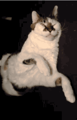 8762c281688ccb6e6567b4e940b52ed3_342249_1575496409