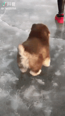 5a2da4d25a6846d4c35848a90a3e7857_160719_1544066649