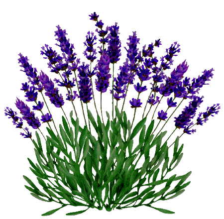 ec687deb