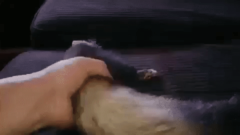 vk_com_blckhumor (1)