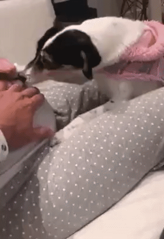 Post_GIF_2019-12-13_17_52_13