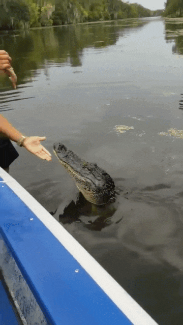 8758743195651_mos_09