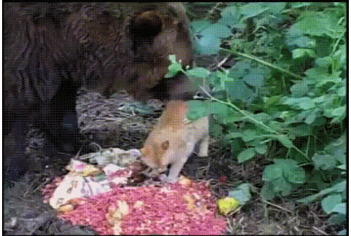 49298320146887_mos_26