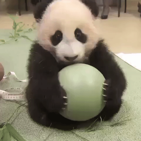 94495875623990_mos_15