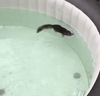 40379feafda6ca7ad0513b029e98b2d1_273238_1495388931