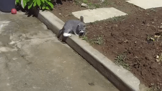 7085ce9c408b56987fb7f0c93166b2ea_273238_1495614890