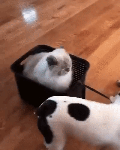 a11c074b4cc27a11d16493d2a6c99ab6_400705_1577907515