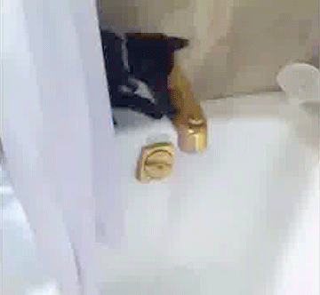 vk_com_public_animal_gif_0218