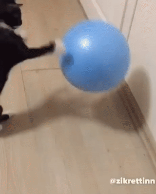 26ae80b4c4895e7e7a4f6345054204f7_342249_1577945775