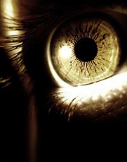 eye