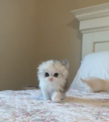 4B5290D5-8538-4F24-8495-4232AD0A2F82