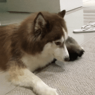 6efa267424804347180aeca5bd214e64_187984_1578306341