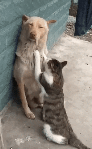 2864a6edf60eb8d8100d35de7e8839e5_303781_1578864460