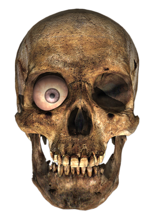 skull_PNG76