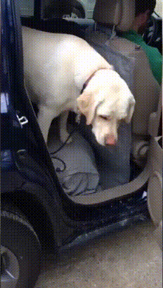 26114902830969_mos15