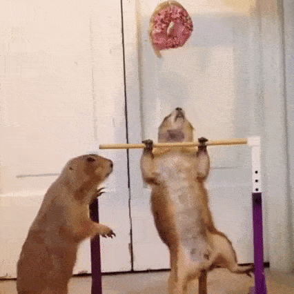 48281018966953_mos16