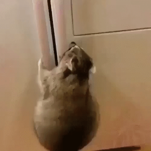 d7e0a4b59587b9aef1305798eb5ebed0_381212_1579883572