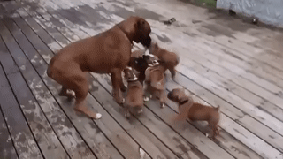 Post_GIF_2020-01-25_07_45_48