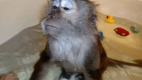 https__vk_com_gif_fak