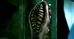 cc6eaea24ac436e004ddec0643e8ad825e94f308r1-245-130_00