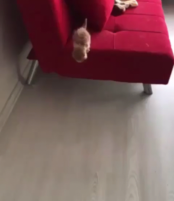 7235E3F6-CE78-4280-844C-99E26BEB1C5C