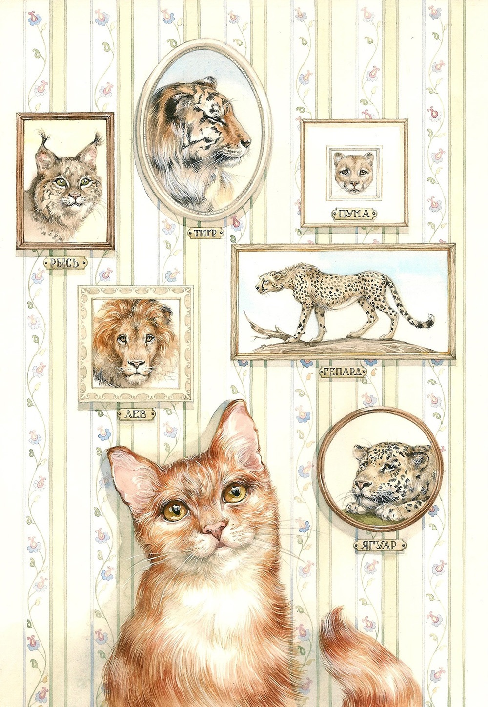 Семейство кошачьих рисунок