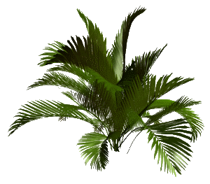 R11 7
