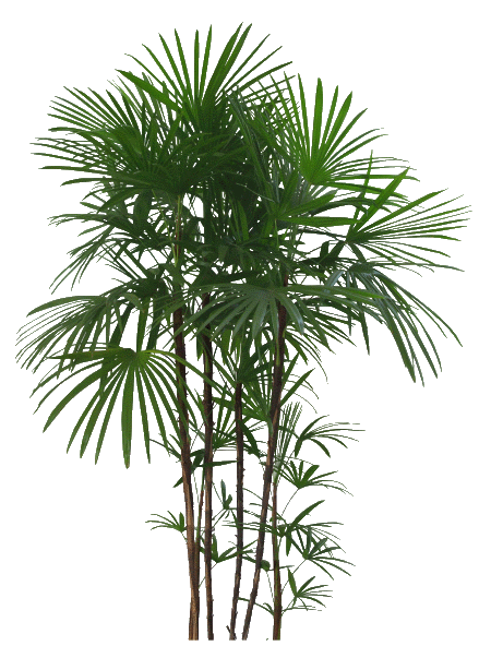 9c6