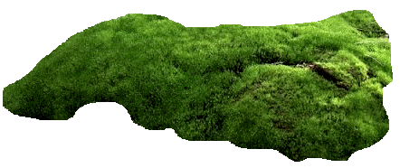h010250s.ru