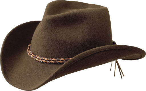 cowboy_hat_PNG5