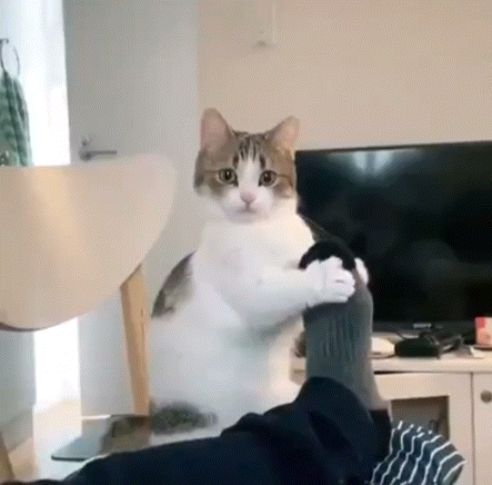 B6FAA464-BA3C-467D-B435-9C8F4286658A