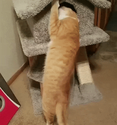 22-37-11-eLDFCvb-1580656059