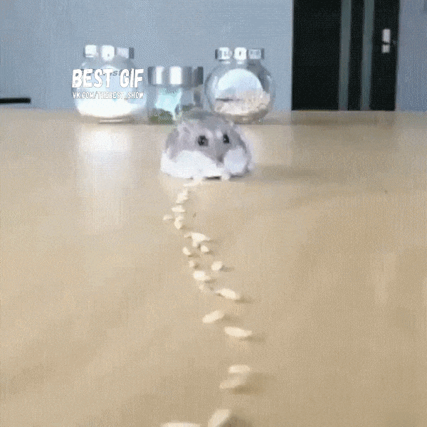 22878035518508_mos22