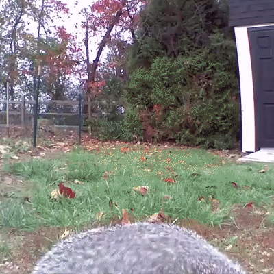 11311603828993_mos04