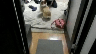 16982324286025_mos18