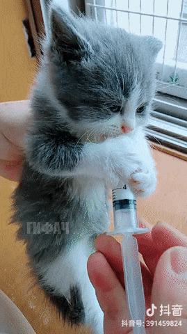 27342727561546_mos23