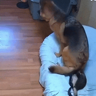 tumblr_b1cbcb5b8677ccdaefa86ba8d950259d_4ad18f5d_400