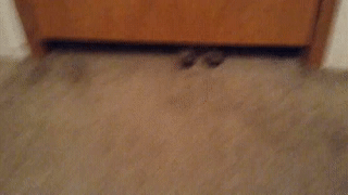 47860997318854_mos19