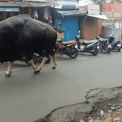 61352495436950_mos07