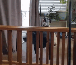 90723429151355_mos14